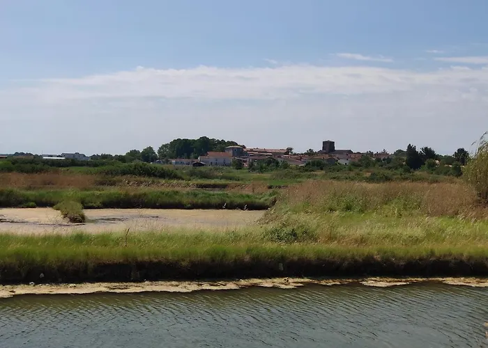 Apartman Confort A 10mn De Royan Et Plages Saint-Sulpice-de-Royan